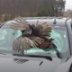 Image: La Porte County Sheriff
